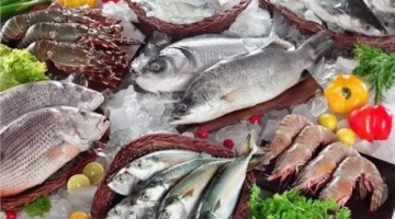 أسعار الأسماك اليوم الخميس 4 ديسمبر 2025 تراجع ملحوظ في الأسعار يؤثر على السوق المحلية 1